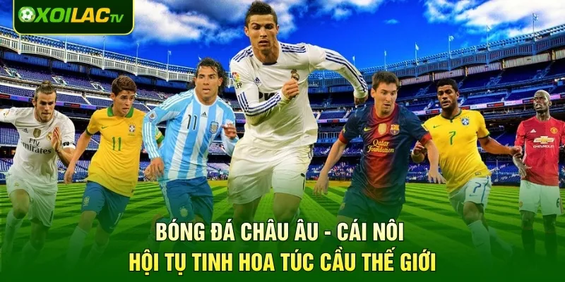 Bóng Đá Châu Âu - Cái Nôi Hội Tụ Tinh Hoa Túc Cầu Thế Giới