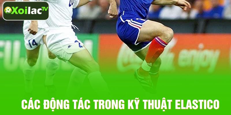 Các động tác trong kỹ thuật Elastico