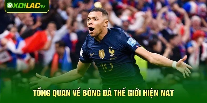 Tổng quan về bóng đá thế giới hiện nay