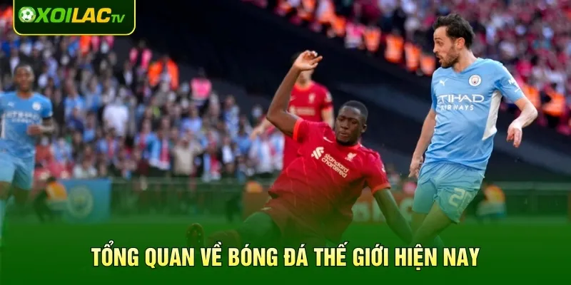 Vài nét giới thiệu chung về nền bóng đá châu Âu